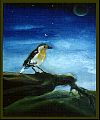 bird1.JPG